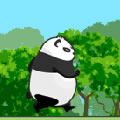 Jogos de Urso Panda